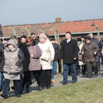 Droga Krzyżowa na terenie KL Auschwitz-Birkenau