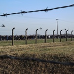 Droga Krzyżowa na terenie KL Auschwitz-Birkenau