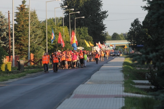 Masz ochotę na mały spacer?