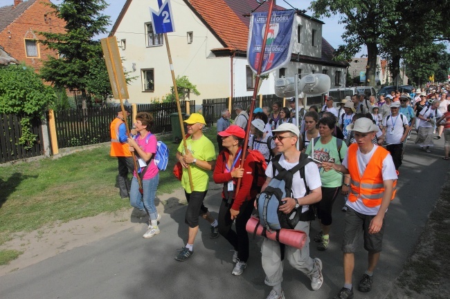 Masz ochotę na mały spacer?