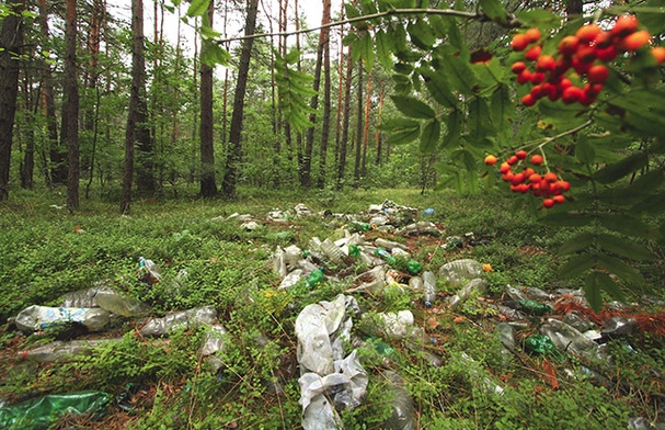 Śmieci plastikowe to nie tylko problem estetyczny, ale także ekologiczny i ekonomiczny