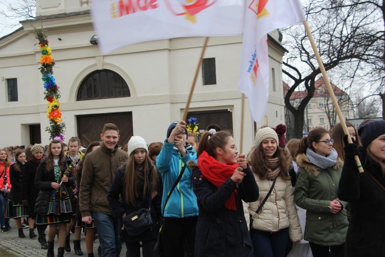 Niedziela Palmowa w Łowiczu, cz. II