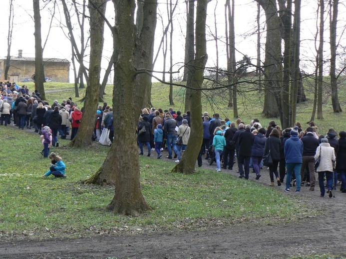 Dzikowska Droga Krzyżowa