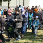 Dzikowska Droga Krzyżowa