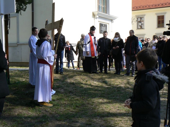 Dzikowska Droga Krzyżowa