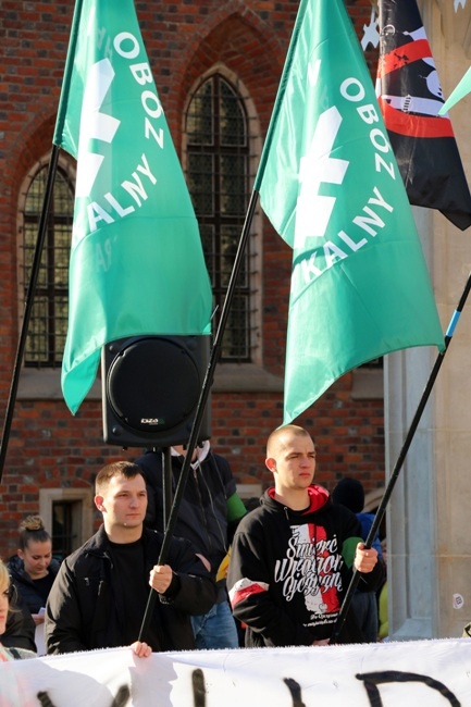 Manifestacja środowisk narodowych