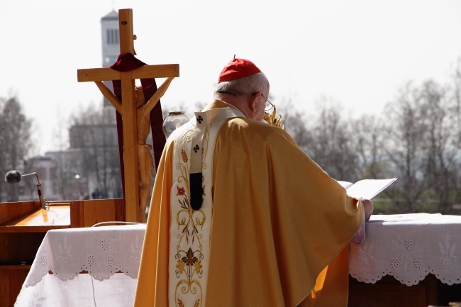 Rozdanie gałązek oliwnych w Łagiewnikach i obchody Niedzieli Miłosierdzia