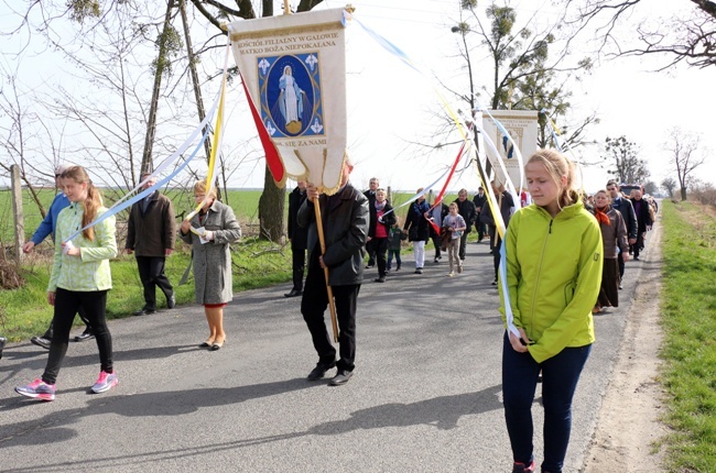 Procesja dekanalna miłosierdzia Wróblowice-Lutynia