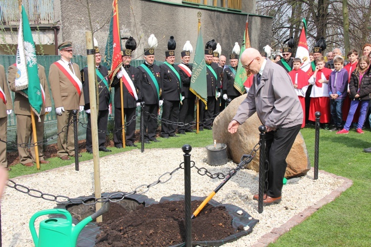 Dąb dla Polski i górników 