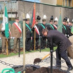 Dąb dla Polski i górników 