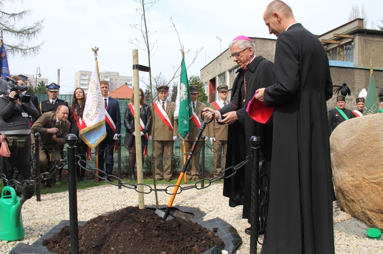 Dąb dla Polski i górników 