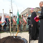 Dąb dla Polski i górników 