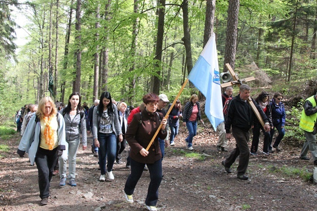 Pielgrzymka na Ślężę