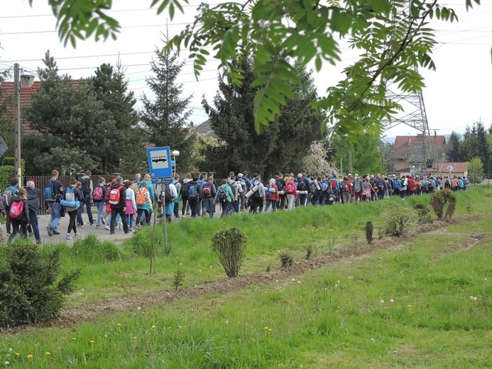 Z Przytkowic przez Polankę Hallera i Radziszów