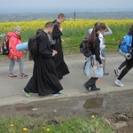 Z Przytkowic przez Polankę Hallera i Radziszów