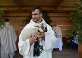 Owieczka u dominikanów