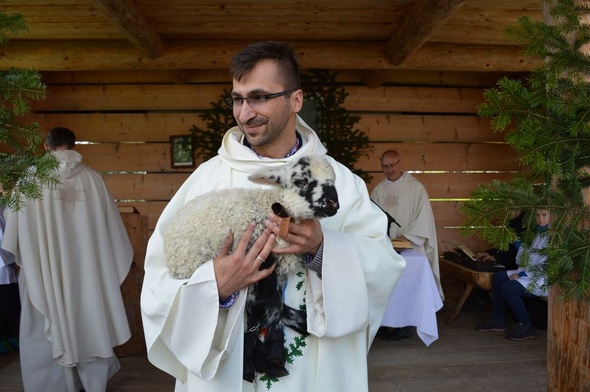 Owieczka u dominikanów