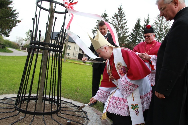 Obchody w Bolesławiu