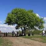 Nowe drzewa w Parku Tysiąclecia