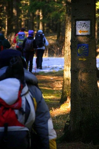 Dlaczego ruszamy na Camino?