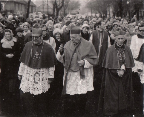 Pasterska służba Kościołowi