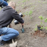 Ogród ekologiczny przy Hospicjum św. Jana Pawła II