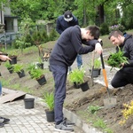 Ogród ekologiczny przy Hospicjum św. Jana Pawła II