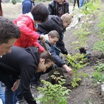 Ogród ekologiczny przy Hospicjum św. Jana Pawła II