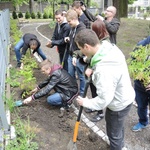 Ogród ekologiczny przy Hospicjum św. Jana Pawła II