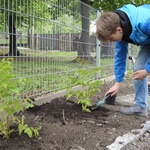 Ogród ekologiczny przy Hospicjum św. Jana Pawła II