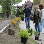 Ogród ekologiczny przy Hospicjum św. Jana Pawła II