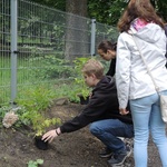 Ogród ekologiczny przy Hospicjum św. Jana Pawła II