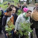 Ogród ekologiczny przy Hospicjum św. Jana Pawła II