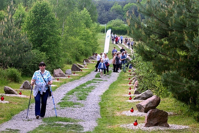 Dąb Papieski w Trzebczu