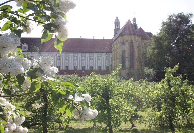 Majówka w Ogrodach Klasztornych