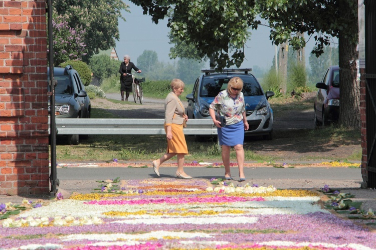 Procesja Bożego Ciała w Oporowie