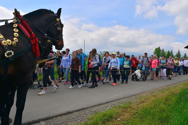 XIX Pielgrzymka Sursum Corda, cz. 2