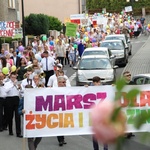 V Marsz dla Życia i Rodziny w Wodzisławiu Śl.