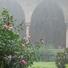 Indie: modlitwa o deszcz 