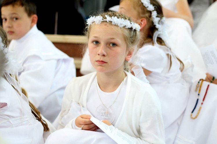 Jubileuszowa pielgrzymka archidiecezji lubelskiej do Łagiewnik