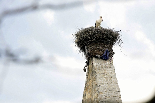 "Któż jak Bóg" w Sobocie