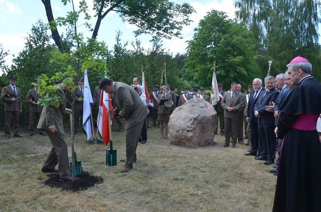 Zasadzono dąb pamięci Jana Pawła II