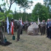 Zasadzono dąb pamięci Jana Pawła II