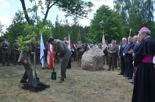 Ostrowieckie Dni Lasu