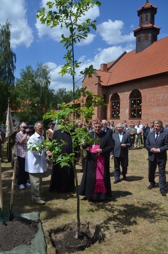 Ostrowieckie Dni Lasu