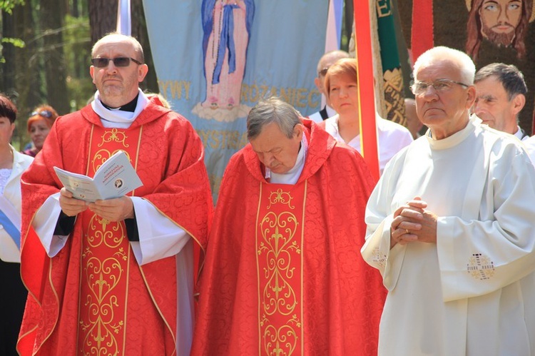 Uroczystości odpustu męczennicy bł. Alicji Kotowskiej