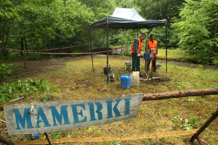 Znajdą bursztynową komnatę?