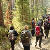 Idziesz na długą wyprawę do lasu? Koniecznie weź ze sobą naładowaną komórkę, a do plecaka wrzuć termos z gorącą herbatą i kanapki.