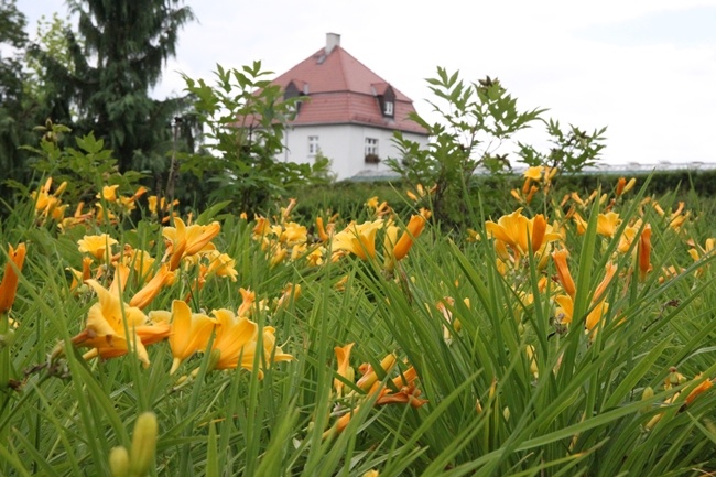 Wyższe Seminarium Duchowne Swalwatorianów cz. 2 - Ogród filozofów i "roślinna" kalwaria