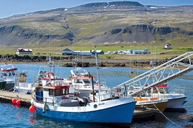 Rybołówstwo jest dla Islandczyków ważnym źródłem dochodów, chociaż obecnie więcej pieniędzy przynosi im przemysł hutniczy.
